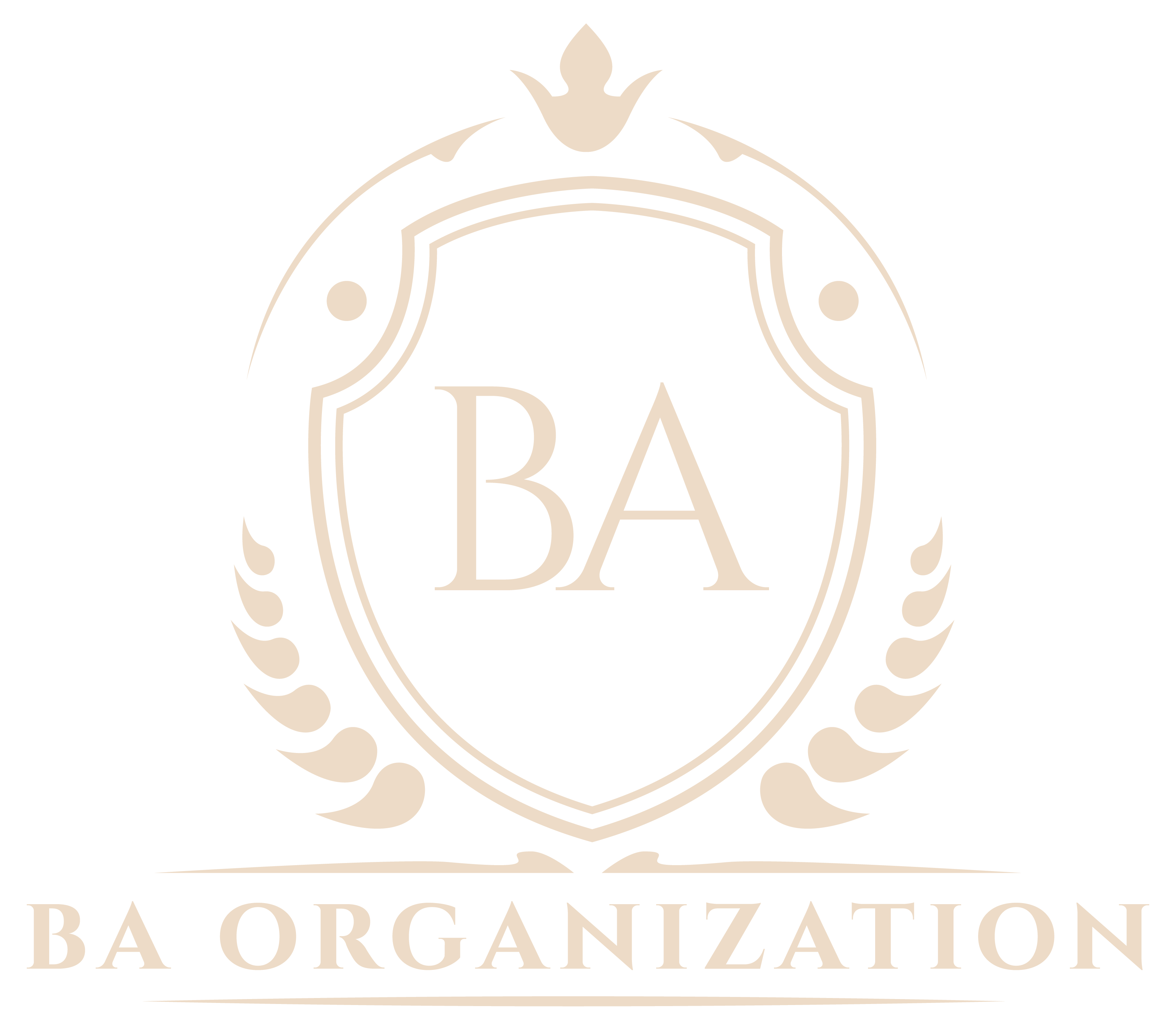 BA Organization